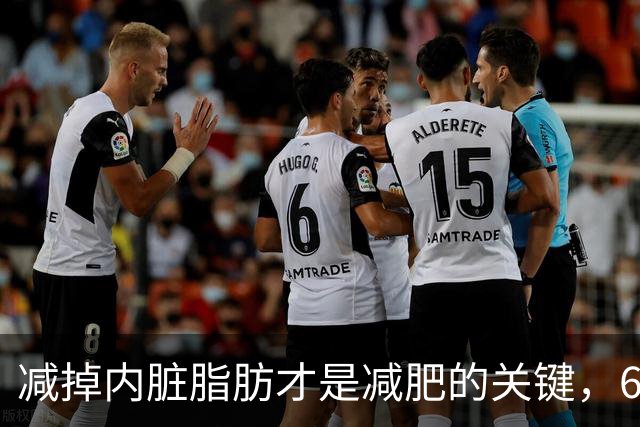 减掉内脏脂肪才是减肥的关键，6个方法让体脂率轻松掉10%！